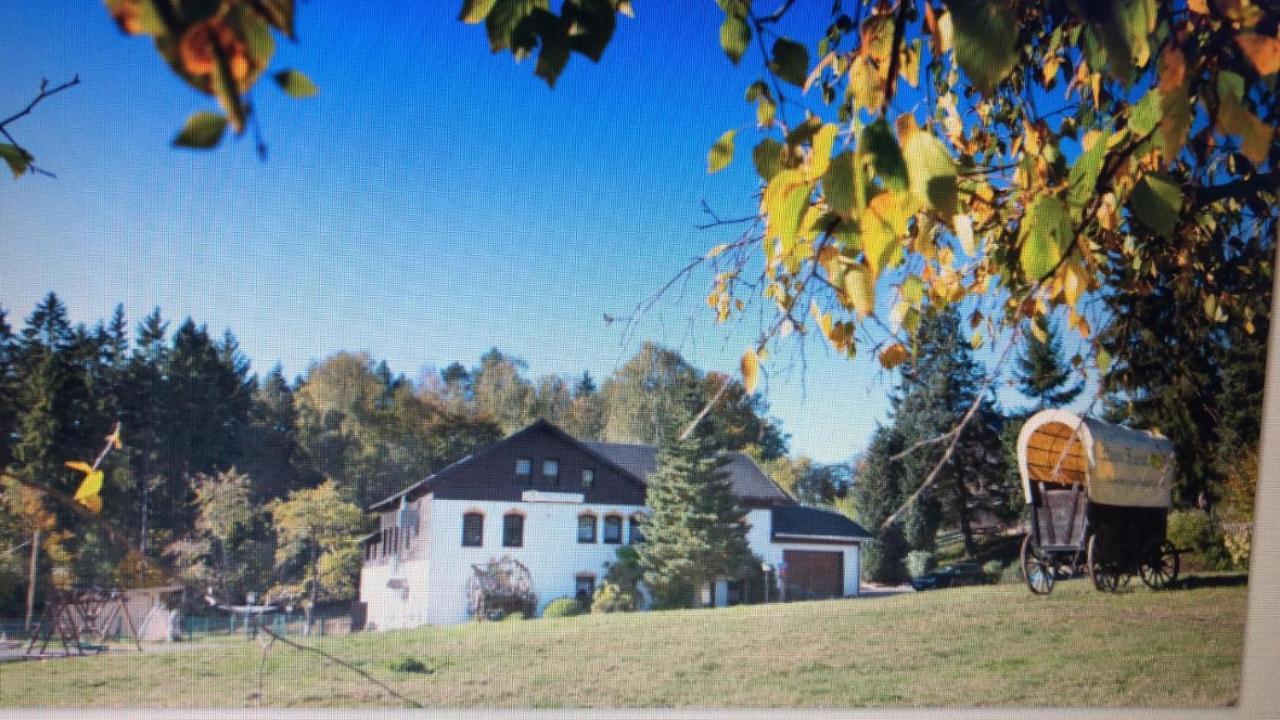Beierfeld Pension Haus Fuerstenberg מראה חיצוני תמונה