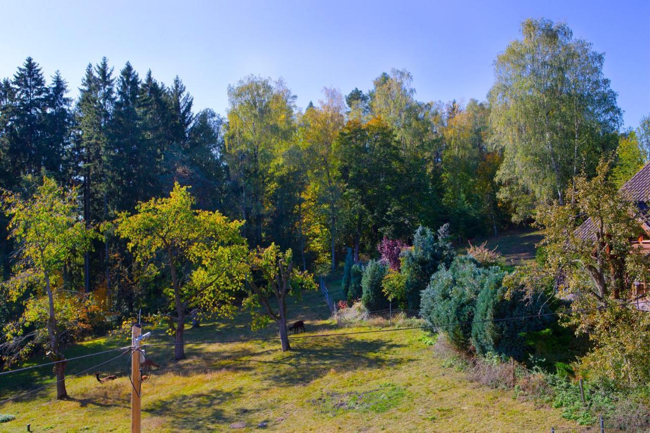 Beierfeld Pension Haus Fuerstenberg מראה חיצוני תמונה