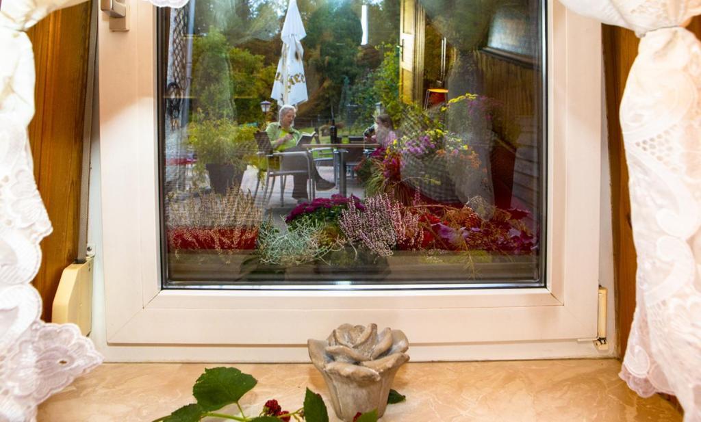 Beierfeld Pension Haus Fuerstenberg מראה חיצוני תמונה